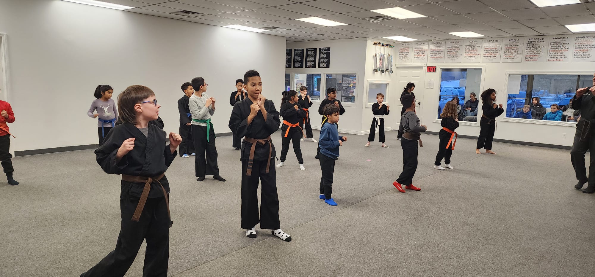 Students practicing Karate technique in class